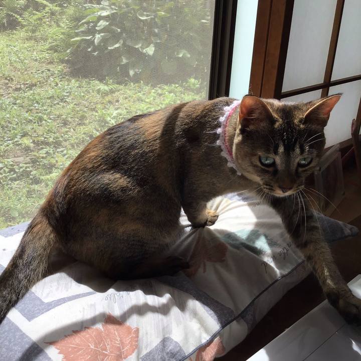 6a52e2e2 1c3d 4e39 845a 7abc2edee21e 1595725796774