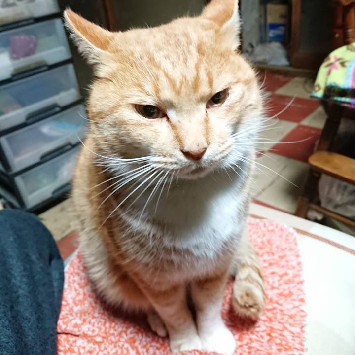 6a52ece3 99a5 42c9 b530 39ba06ef6380 1577908700717