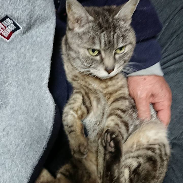 6a532421 55d3 40f0 a4ab 43c8f4cc66e3 1551090580158