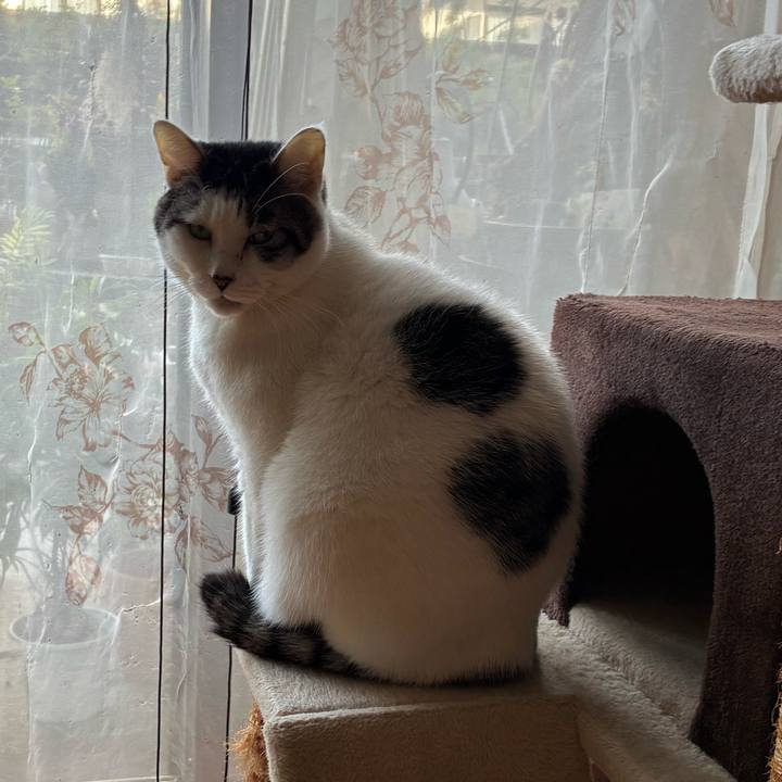 6a53287f b773 4a49 8a1a f77e5efdd2e1 1767999421645