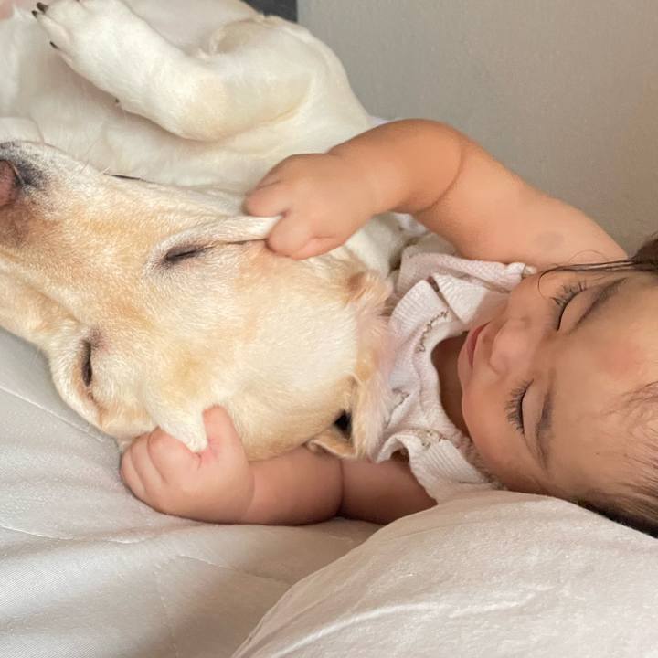 6a533da5 121e 453f 97b3 673e76458e59 1760778984064