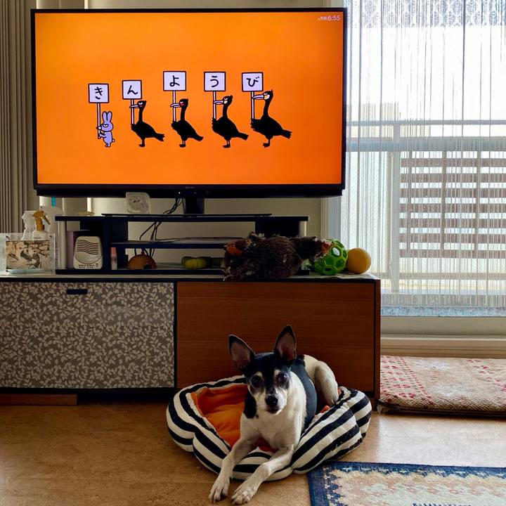 6a535f0e 89ac 4831 85db a743a03e79d2 1601590146932