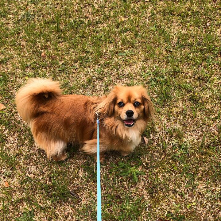 6a53a6a4 a001 44d9 b79b fc5dd8c8867d 1556503492834