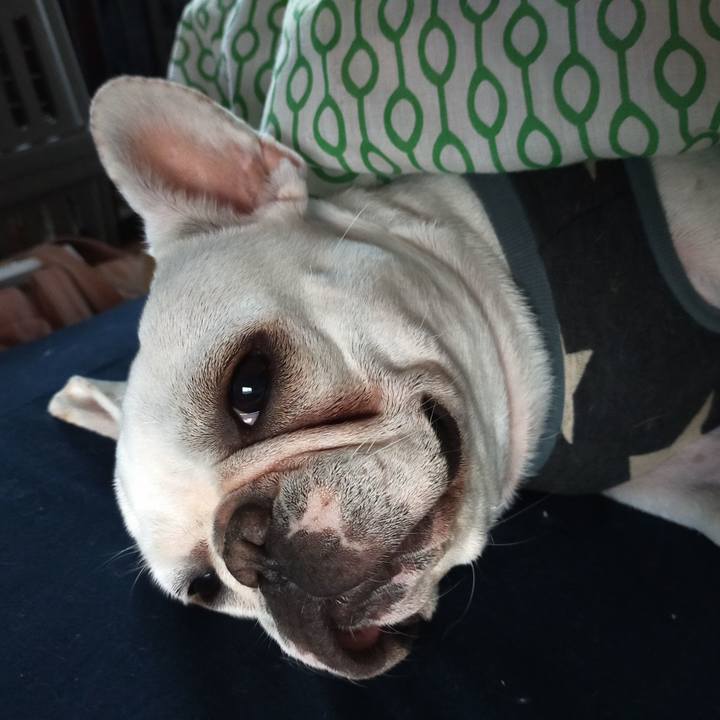 6a53b266 70b6 4098 9a52 38f28b13c33a 1636839674742