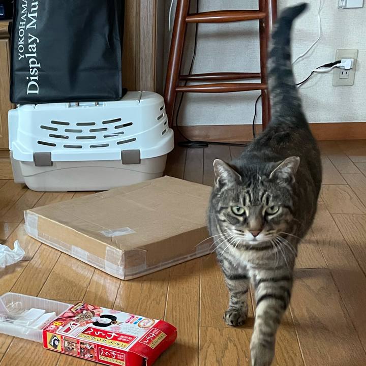 6a53be80 e7a2 450d 9606 f0a56182a7da 1615102681682