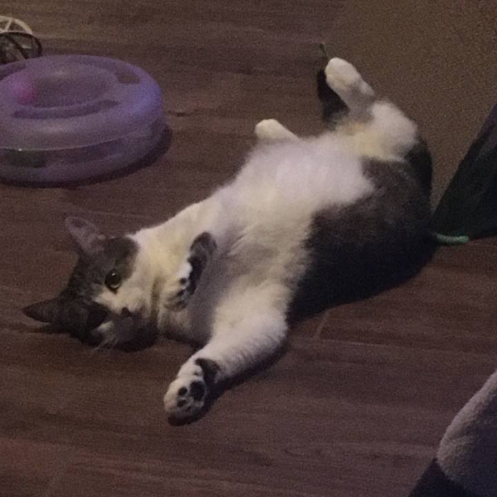 6a53d3f5 5126 4426 ace1 cb0604547d05 1653007551562