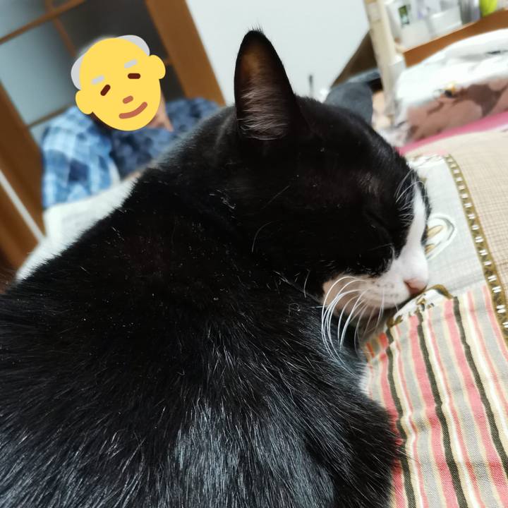 6a53d753 6d36 494e a90c f758462dc1cd 1697169338061