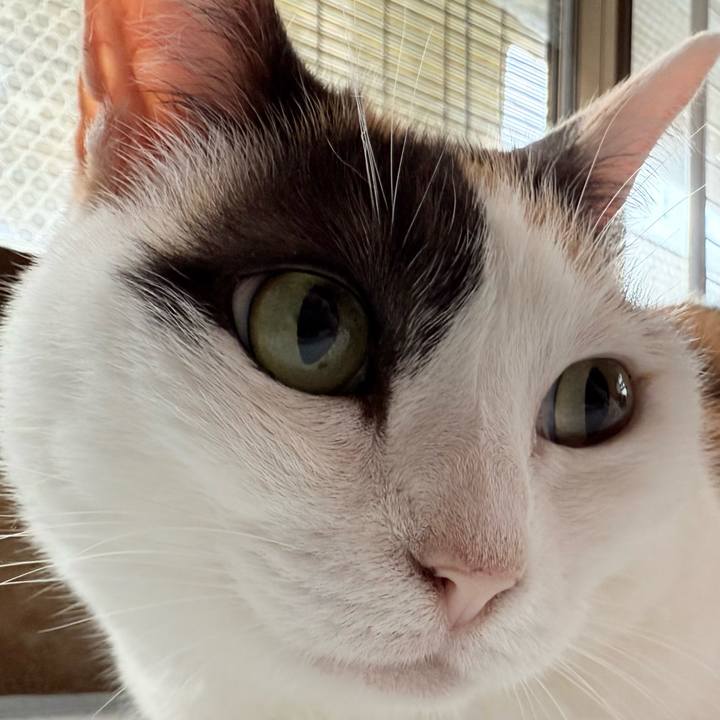 6a53ed46 3e4c 4bc8 80c3 4be3e20809a2 1751940322420