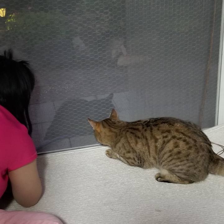 6a53f70d d32a 483e a7e4 94926e6bc93e 1691935502515