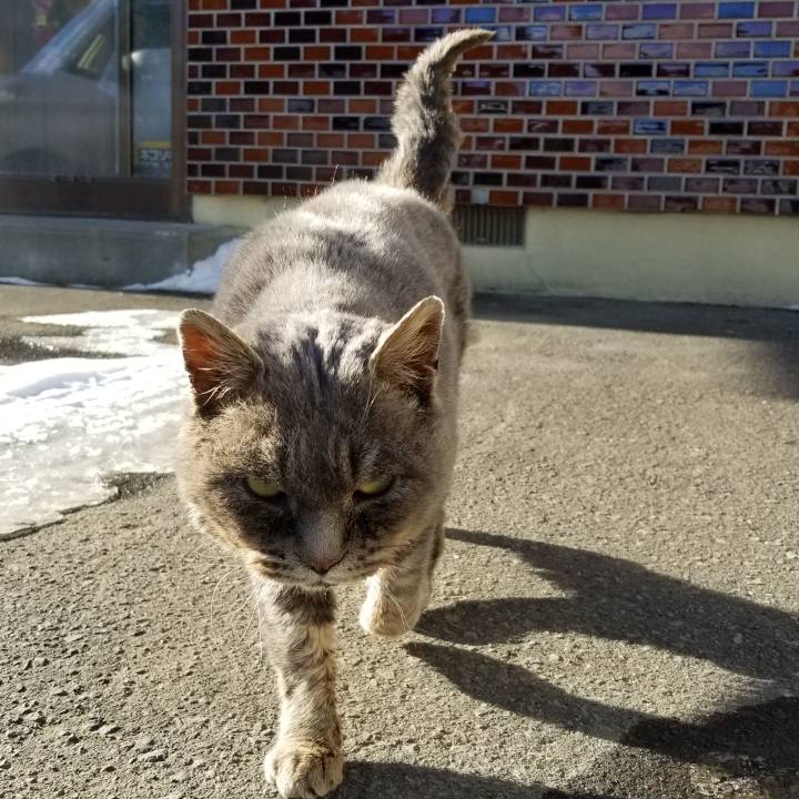 6a54161f 9bbc 408b 9a10 2b6bc507f435 1545718414146