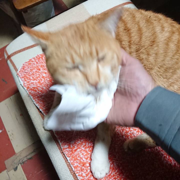 6a5424c9 1099 4cc5 9a6a 83f400a09fcd 1576109465173