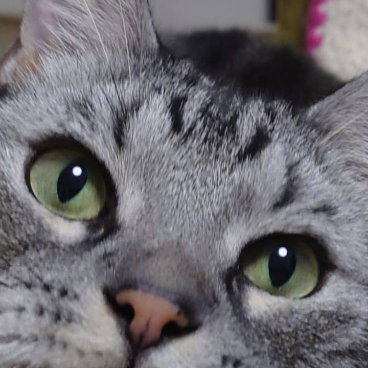 6a545bf7 53fe 4dce 96bc b83daf29c03b 1739519444371