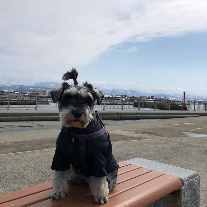 6a548512 9af2 4a73 a56f 7376876b0015 1645853417858