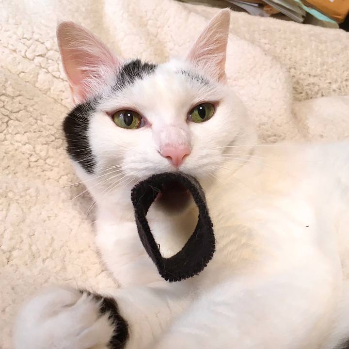 6a54a9f1 4c1e 44da 8605 9708f9988643 1595755344826