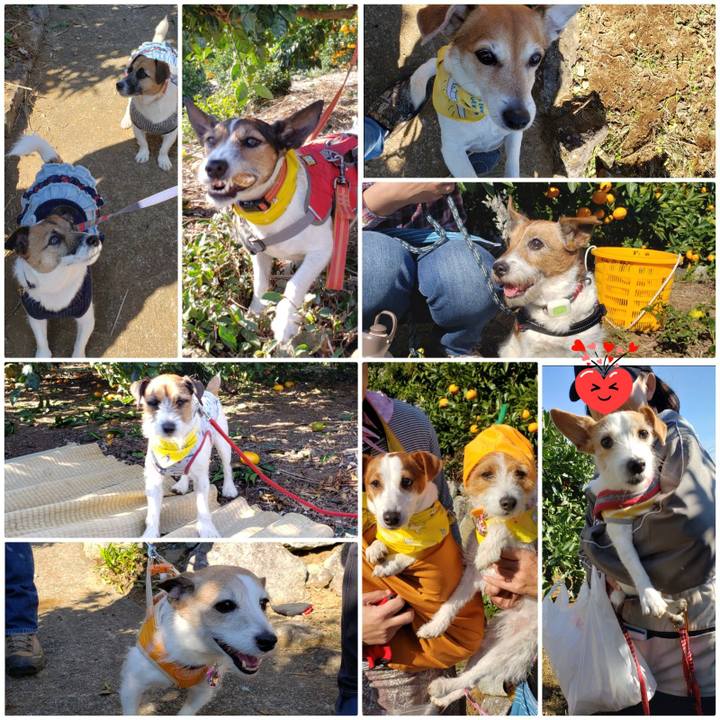 6a5511c1 05a5 4c72 8cba 83d0e06105f8 1576310456892