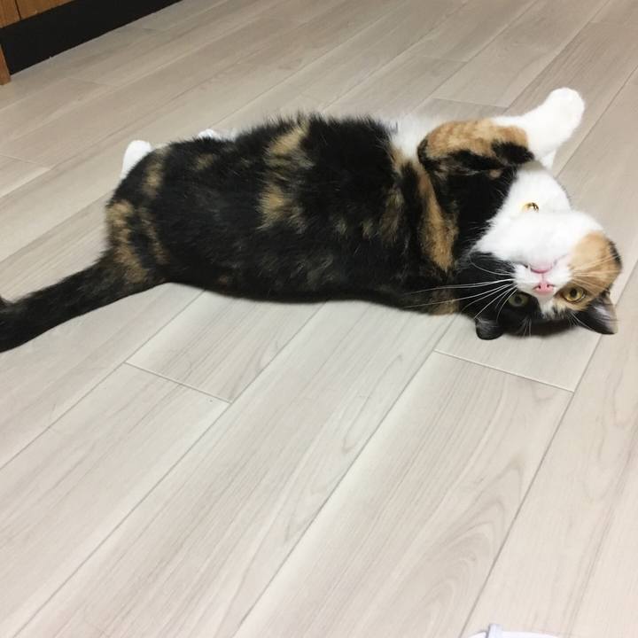 6a553ac2 4585 4bb1 a3b7 5e66c1d05456 1515590514250