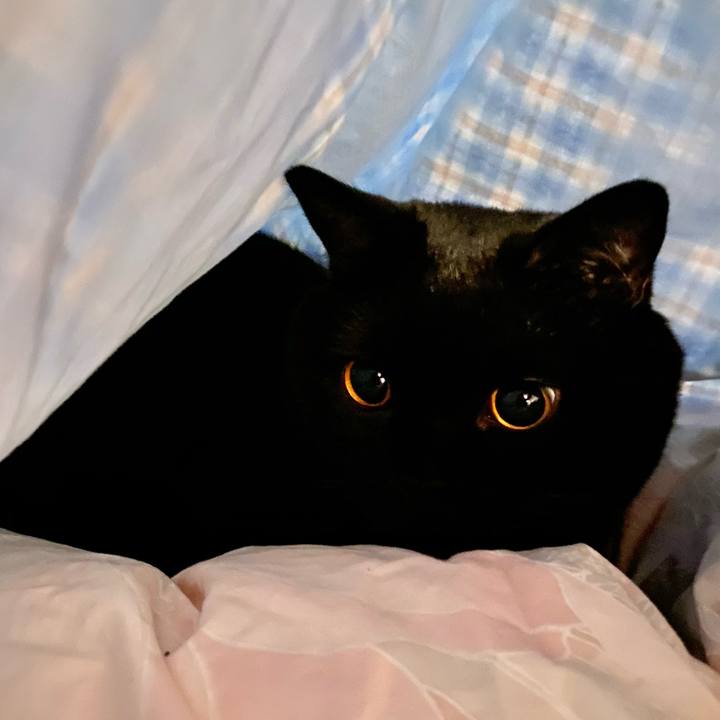 6a553b71 b64b 4461 9fc3 287a46ac3ed0 1665135618347