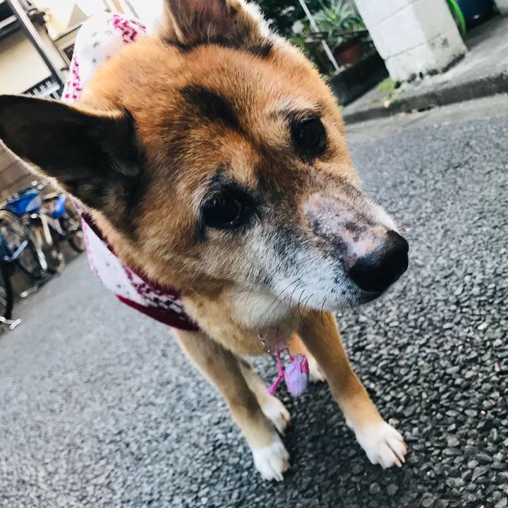 6a5543e7 9793 4b55 be3b 7801967d0d4a 1549923780238