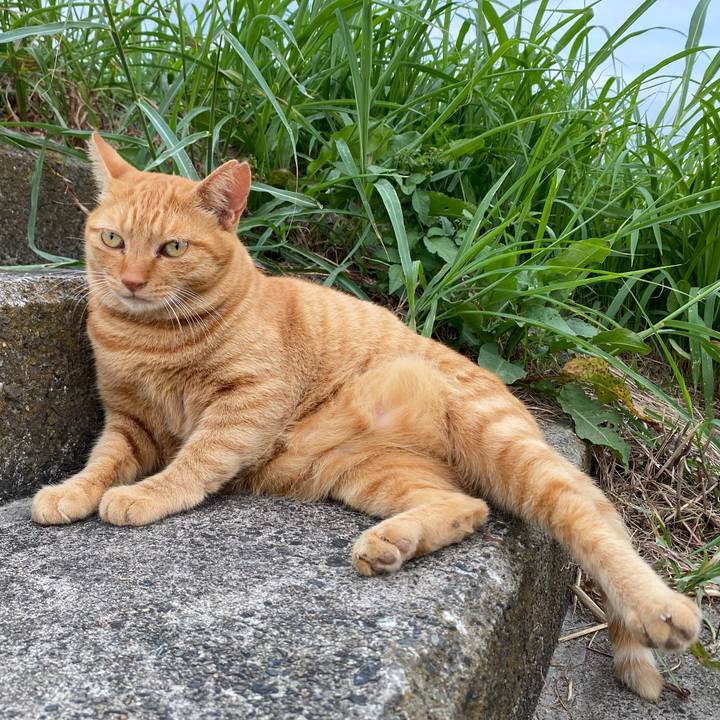 6a554fc3 b613 4245 89ae 678ad6b62ad9 1632918306245