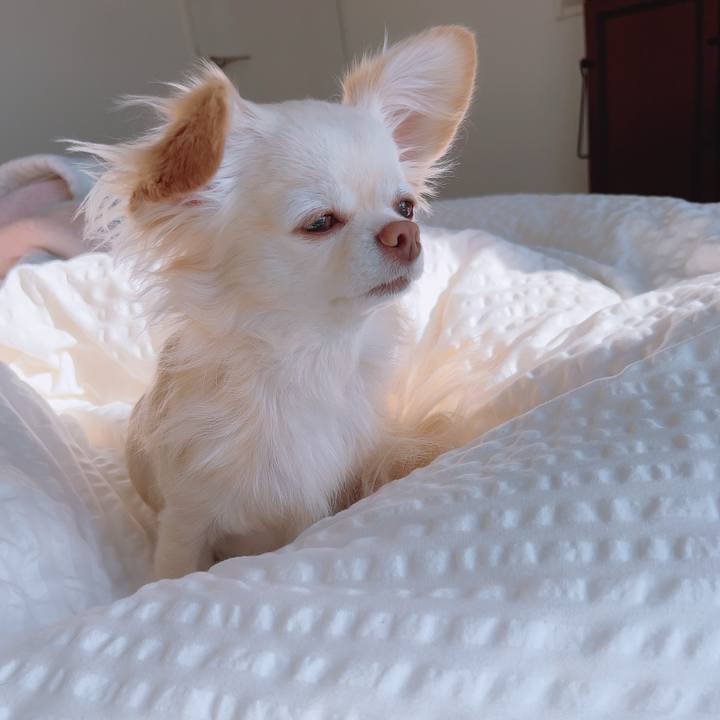 6a55631d ddd0 4446 a7a5 1a2712ce35da 1703590129864