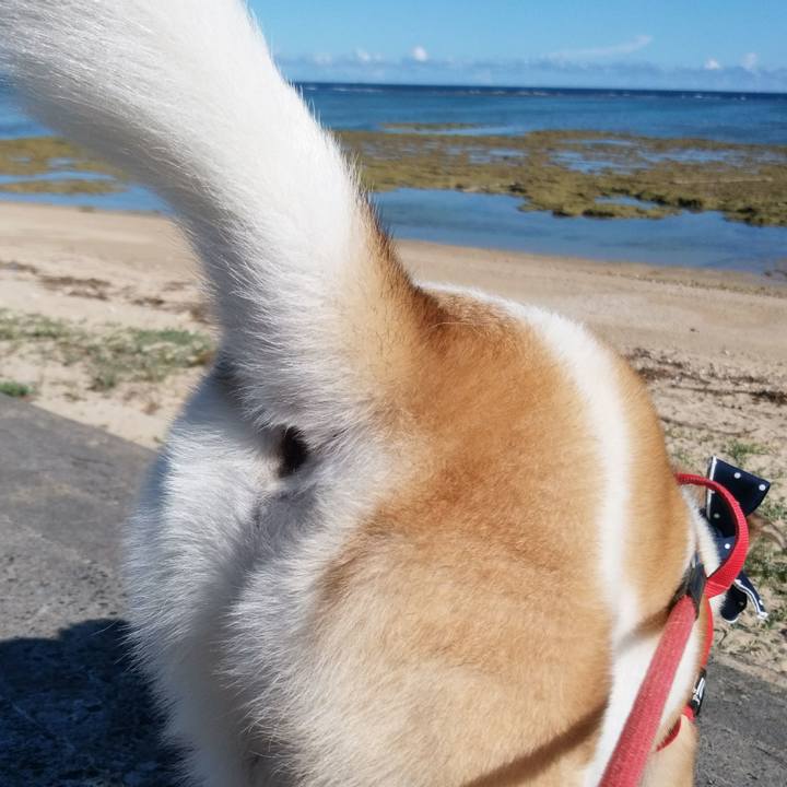 6a55eb09 acde 406d acb6 30d9152e8275 1535670522299