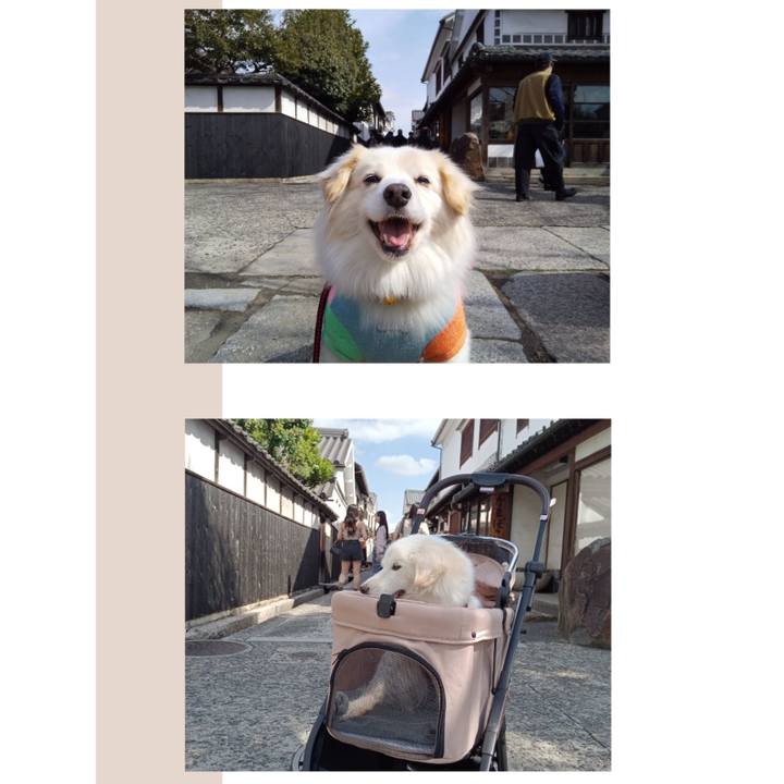 6a55f8df 3b94 4c14 8704 5f07d3e14db1 1760585965523