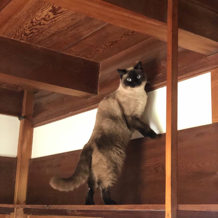 6a5602c7 94c7 46f9 910b b31efec6ebc1 1621818021200