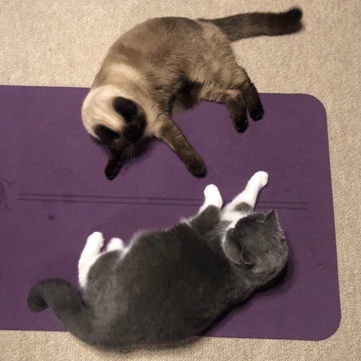 6a561948 02f7 4aea 84af 04655eaafb50 1614479412941