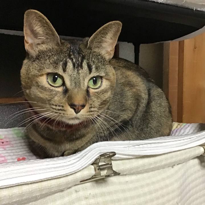 6a56571b 26bc 4661 a0fa 3dfe9f6a0d94 1636972931054