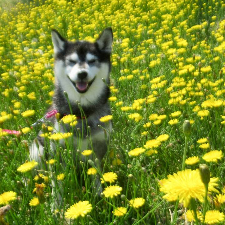 6a568cd6 9bb7 4b60 8132 c675eaf2e729 1686527949474