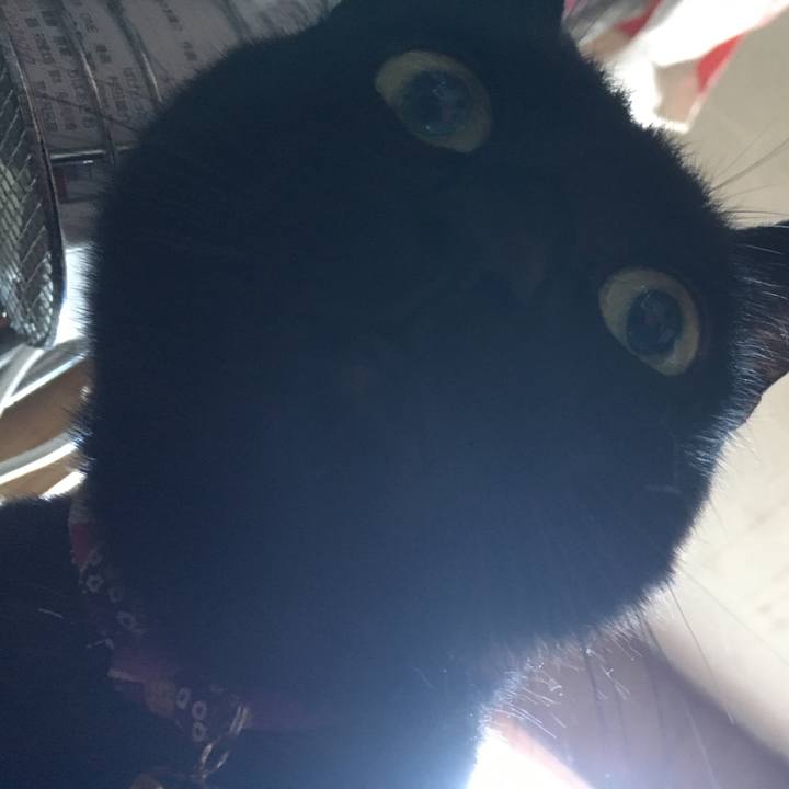 6a5694b8 7580 48ad b7cb d906057c4421 1509757563791