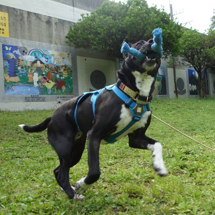 6a56a80c 3c7a 49a8 bae6 f59205e29015 1620347982339