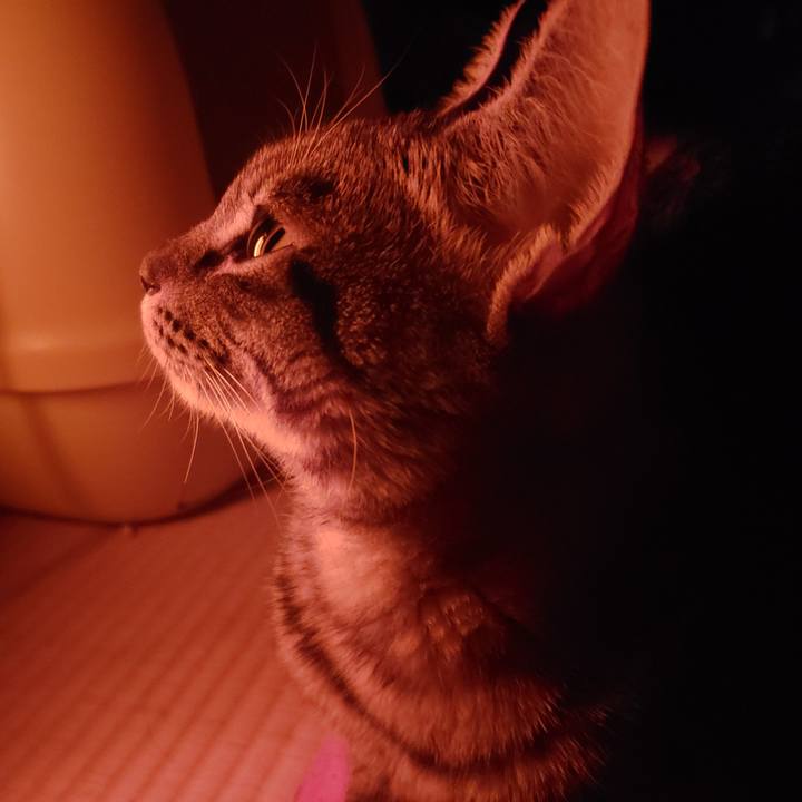 6a56d315 b4c2 4e3c a387 cb9c0e08099e 1543780330637