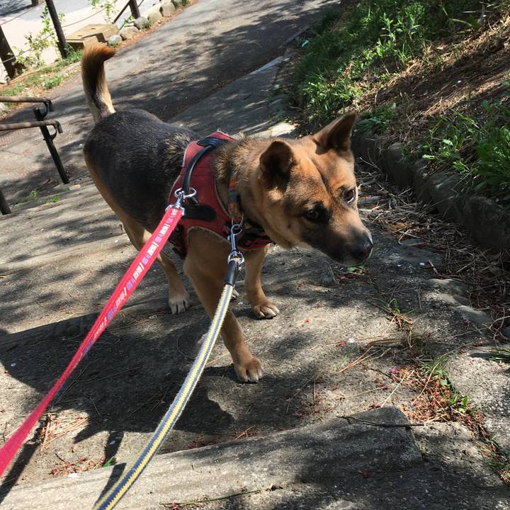 6a56ec20 3e69 403c 9182 9b1c4353d337 1523247300127