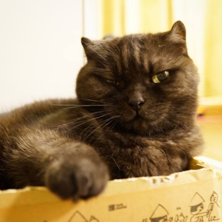 6a57721e bff4 4f1e a890 869b2f9509e6 1629126142800