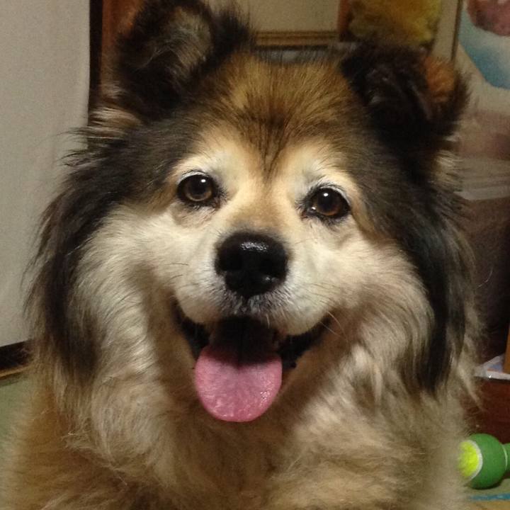 6a57762e 553a 458e ba46 f722953345a1 1579429973712