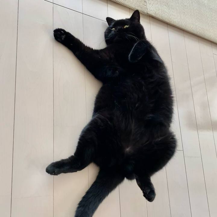 6a577aa3 ae10 4481 b489 535d81a66309 1688633333357