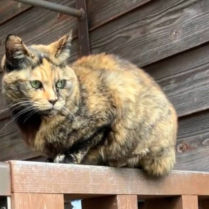 6a577ce7 16f9 4573 8438 e84e46f35b74 1740192445873