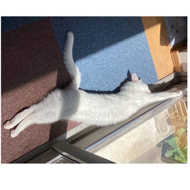 6a57b077 1acf 467e 9545 49972435888b 1651877050809