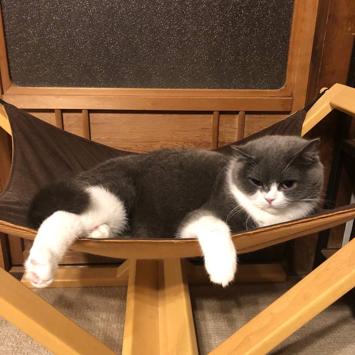 6a582392 befe 4814 8fb0 44a547486972 1622167481738