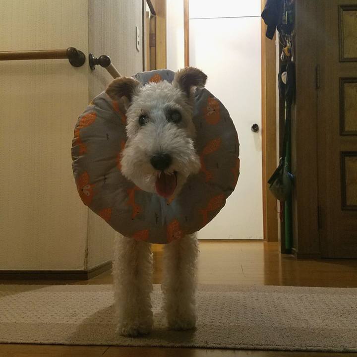 6a584f92 1950 48a4 b1f5 1b848320ffa9 1593614074191