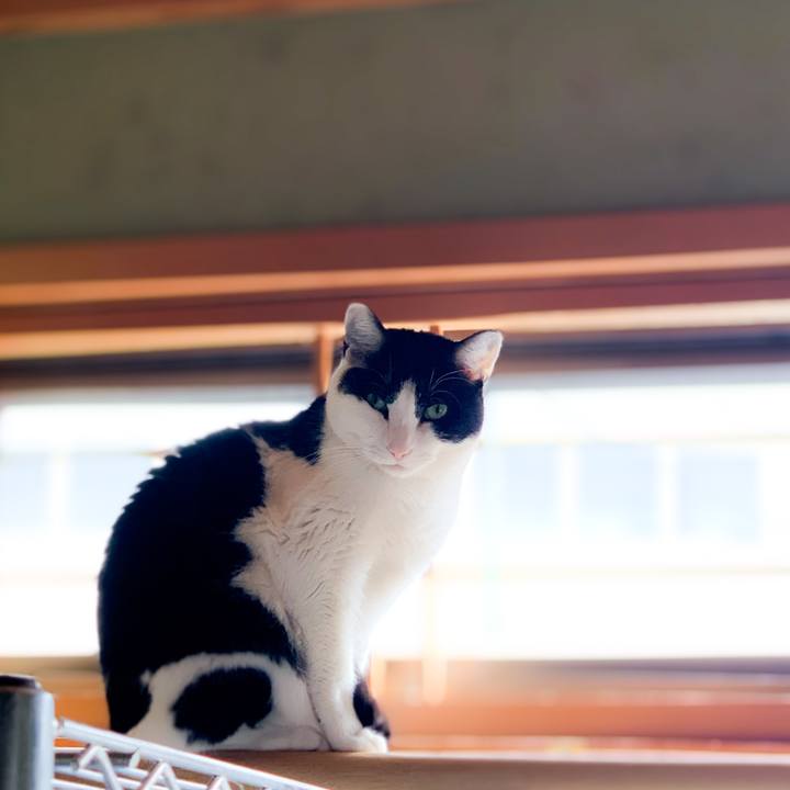 6a58572f 2875 4b07 aabe 4ed2e96ee57d 1589932909855