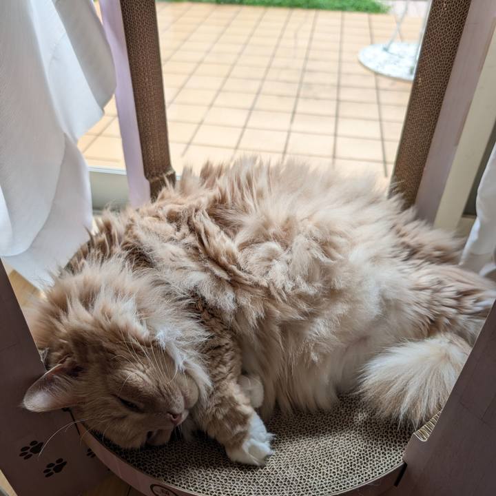 6a585a62 e7b3 4d39 ab26 d06ee68a0f88 1724821340985