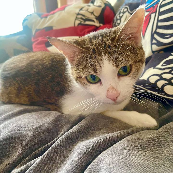 6a58698b c83c 4751 8961 d1f7c217c1d5 1630818910754