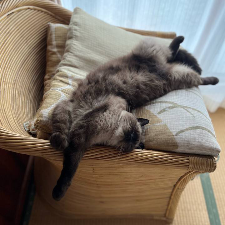 6a586ee8 565b 42e4 a207 d58770cb48af 1632704233557