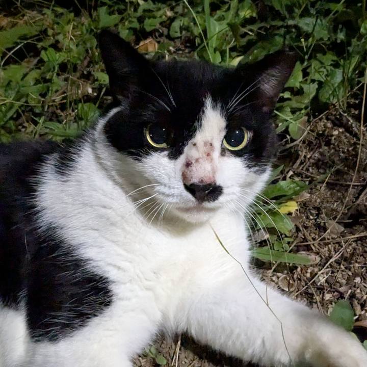 6a58a0e7 73c1 4e06 b7cd f0483158eade 1754410403902