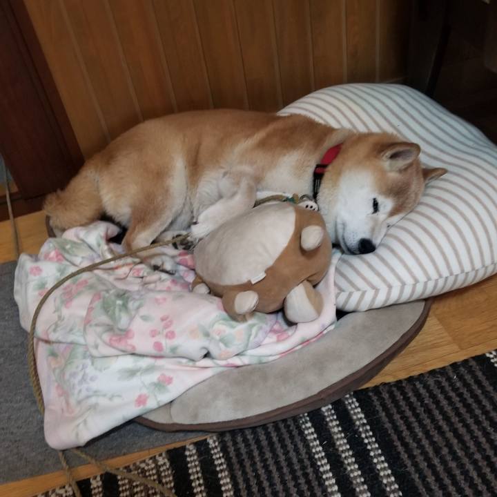 6a58bfbe 62f5 46c6 bba6 f765992892f3 1717111715309