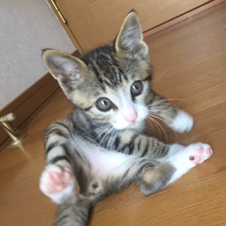 6a58d6b1 9289 4998 8c78 5c5d53f0e398 1653902105726