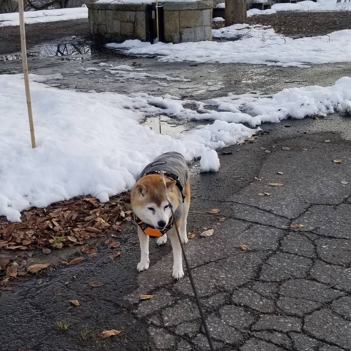 6a58e69d 0d38 4af4 bb4c 031e557c9b4f 1734415082881