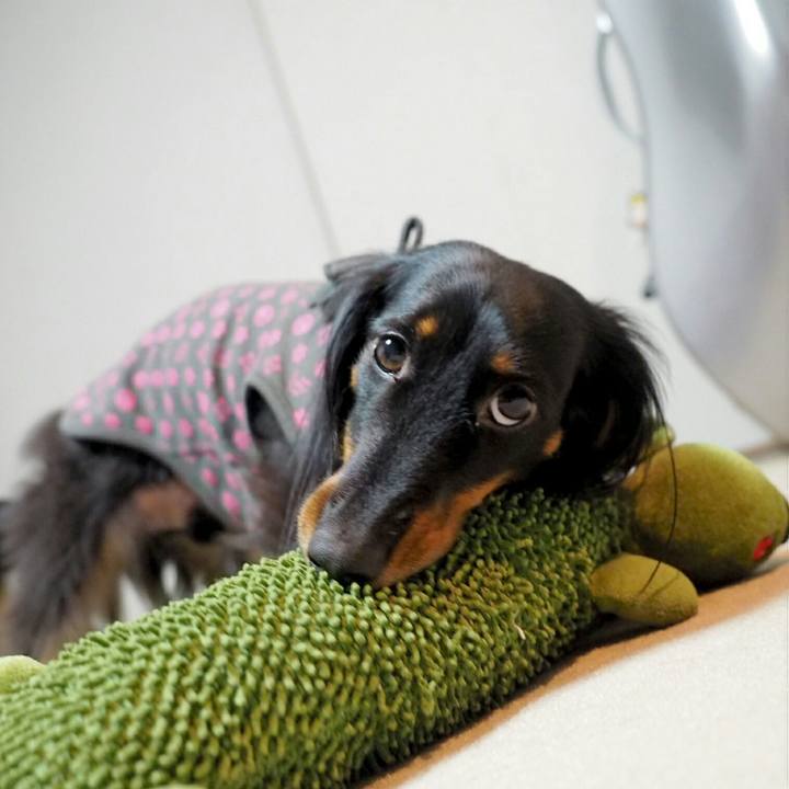 6a58eaa5 9943 43db bfc2 0053d821d6d4 1521593464385